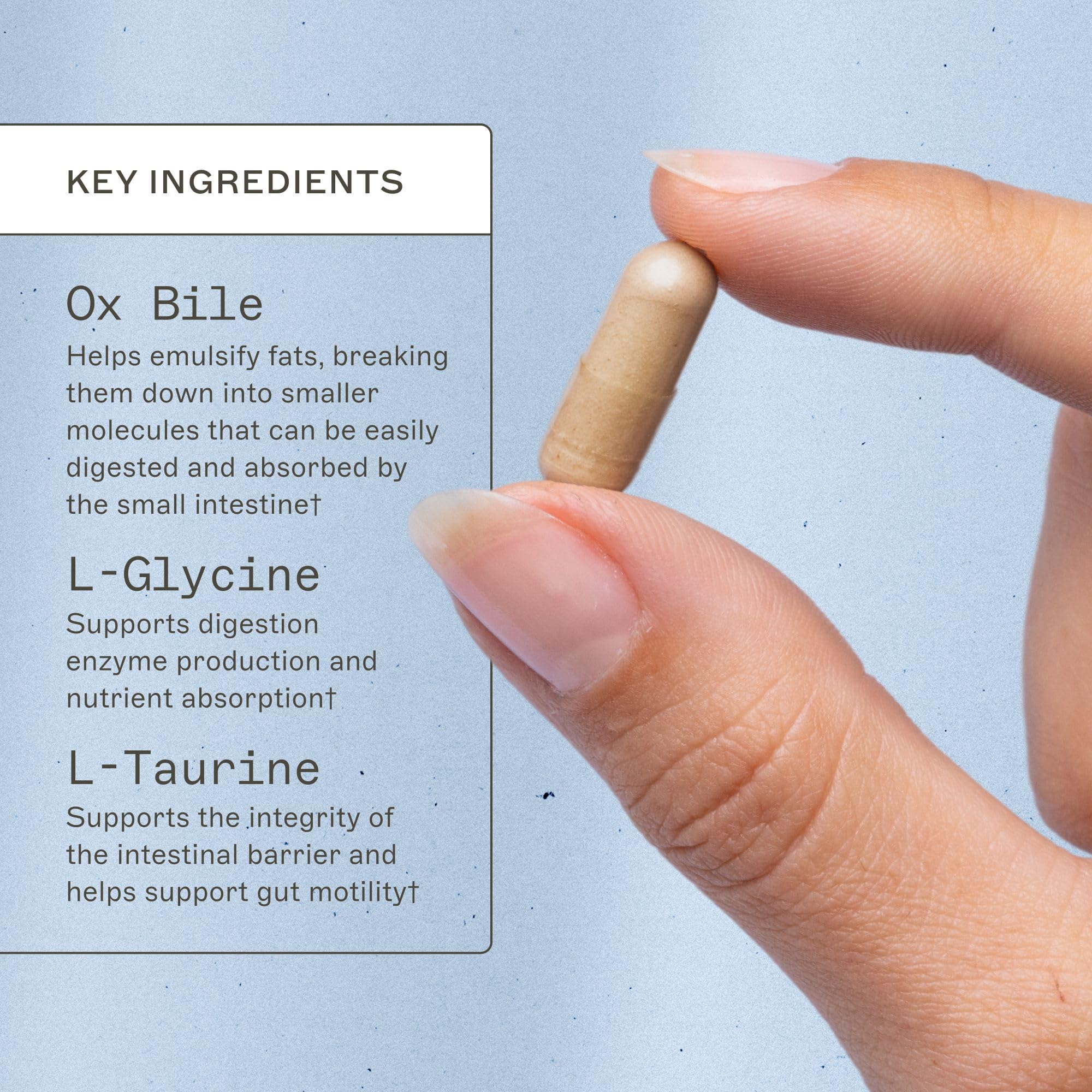 Amy Myers MD Bile Builder Complete ingredients label showcases key amino acids and ox bile.