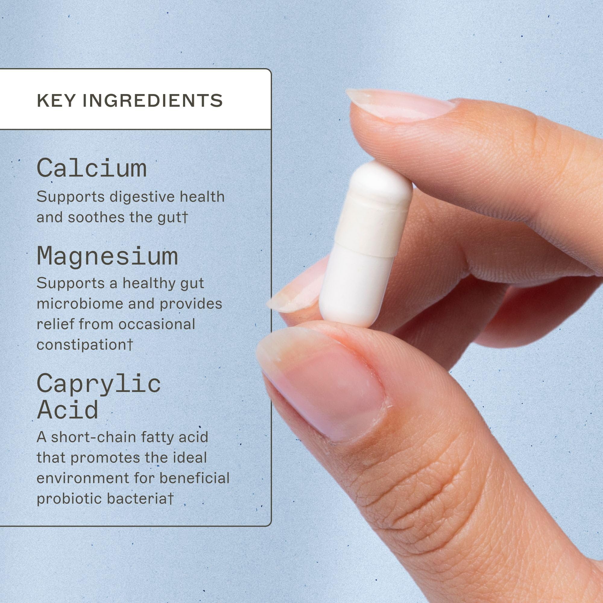 Amy Myers MD Caprylic Acid pouring capsules for consistent digestive support