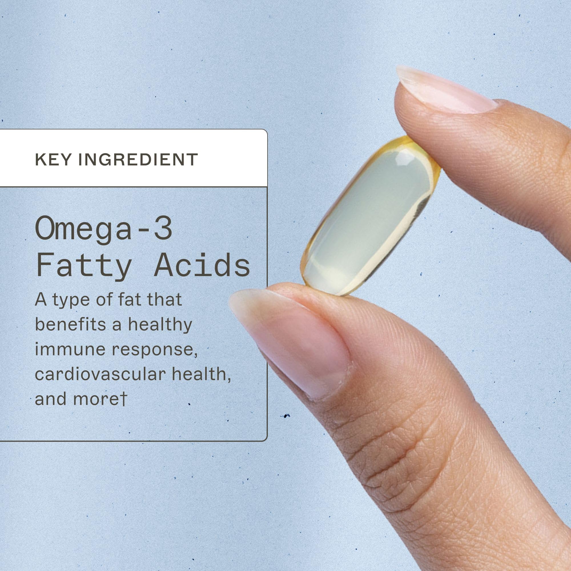Origin of fish oil: anchovy, sardine, and mackerel in source illustration for omega-3.