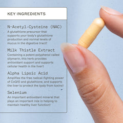Amy Myers MD Liver Support turmeric root focus for daily use