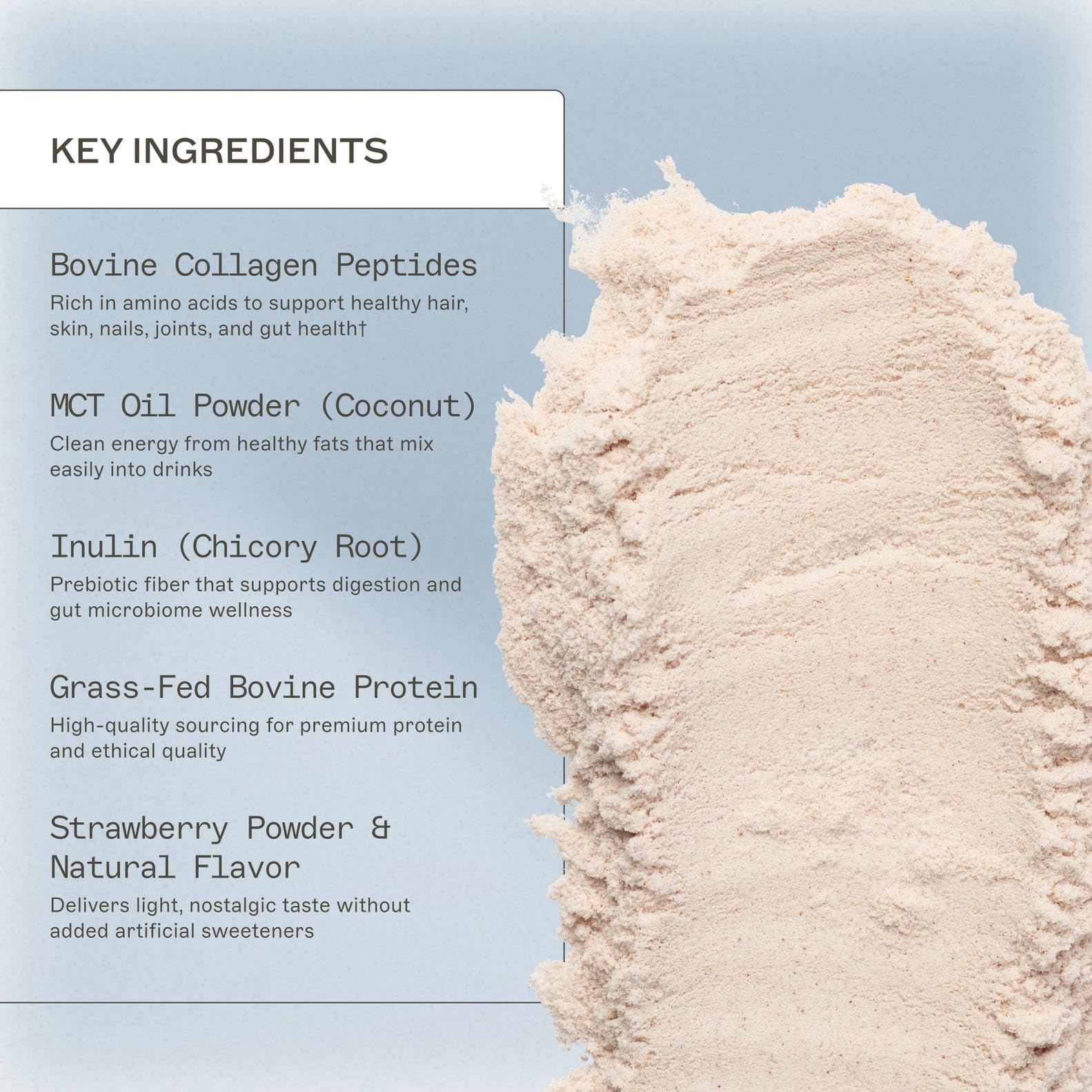 Scoop of Amy Myers MD Paleo Protein Powder ready to mix with beverages.