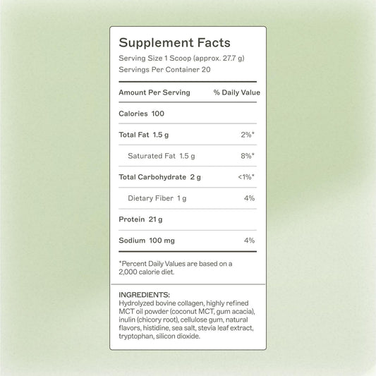 Scoop of Amy Myers MD Paleo Protein Powder for easy daily use.