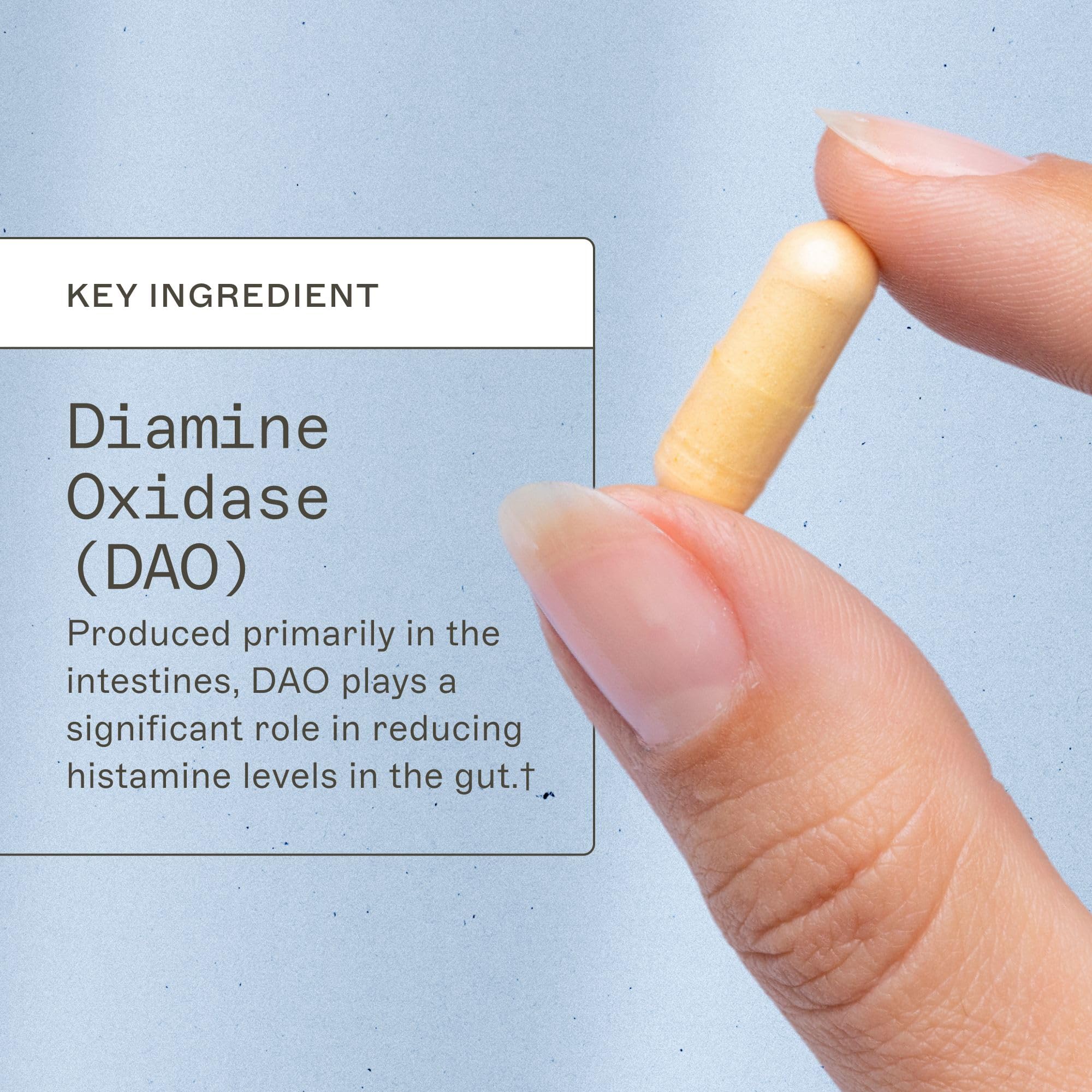Histazyme bottle back label highlights non-GMO and allergen-friendly formula.