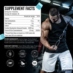 AMZXO Creatine Gummies bottle back label with ingredients and serving guidance