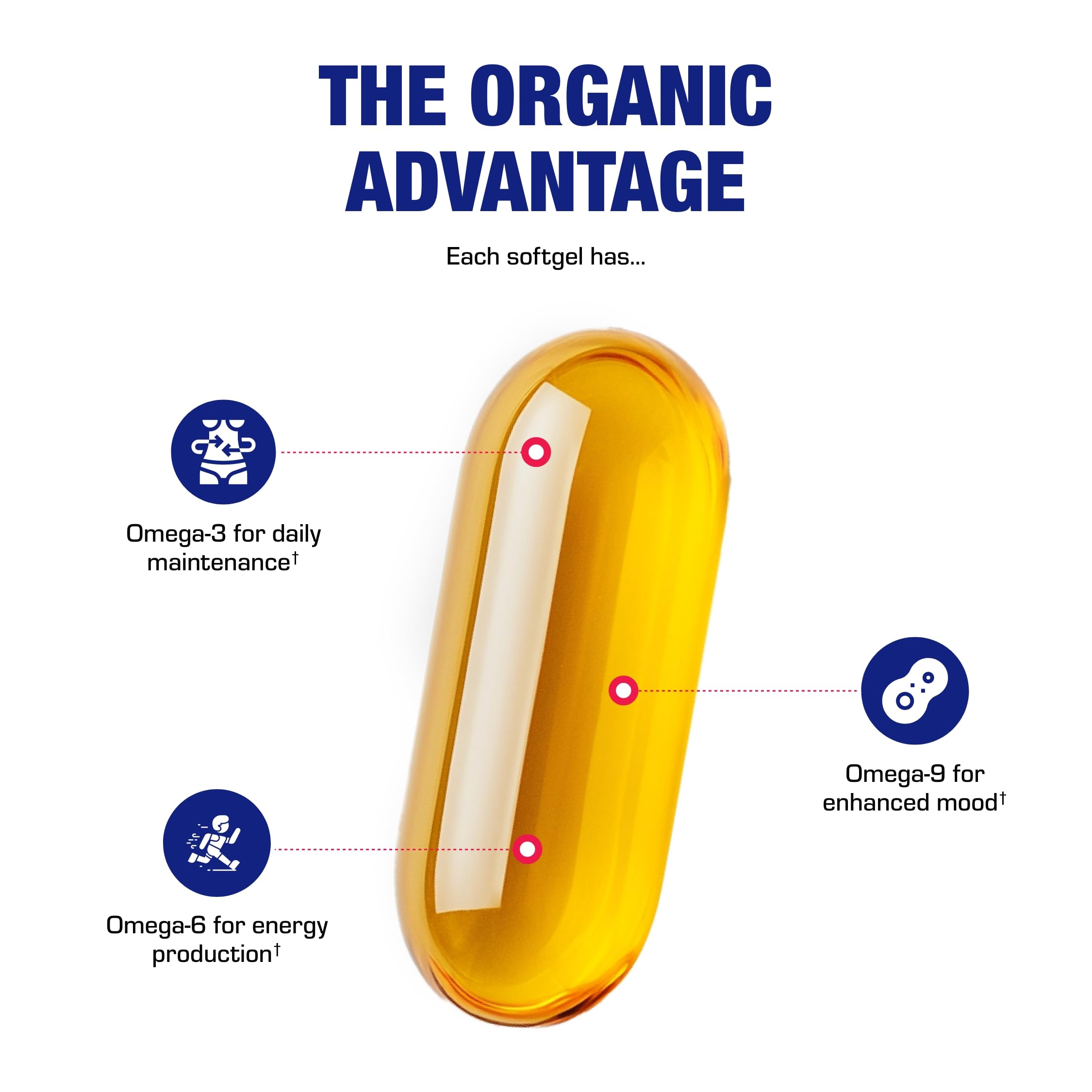 Anabolic Laboratories omega-3-6-9 softgels capsule showcases comprehensive fatty acid blend