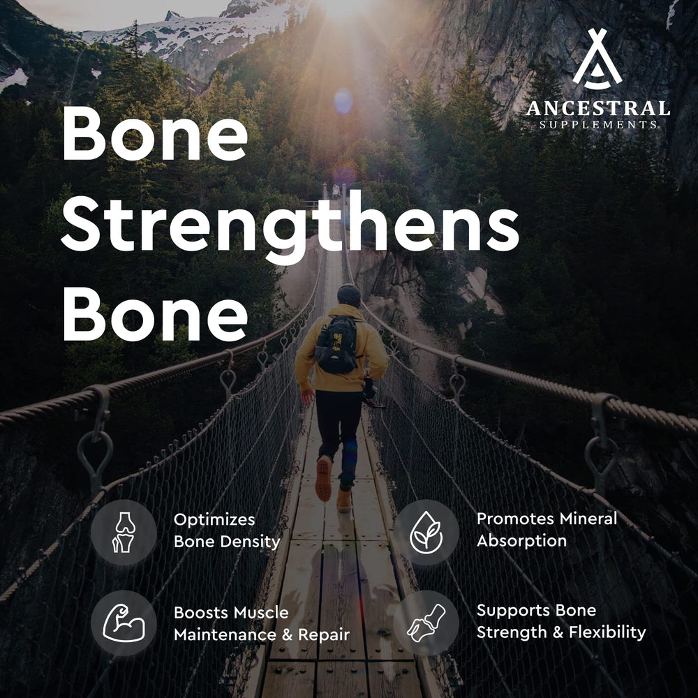 Ancestral Supplements Bone Meal jar emphasizes remineralization and structure