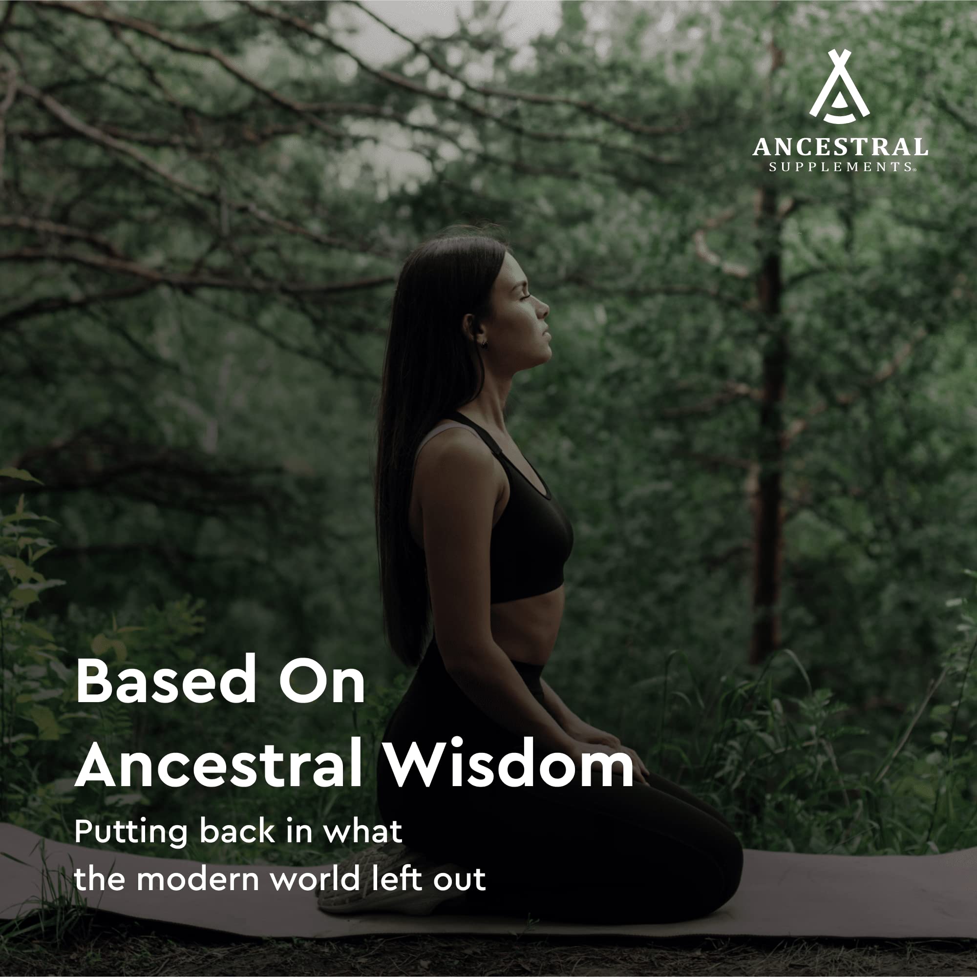 This setup with natural elements conveys everyday wellness from Ancestral Supplements capsules.