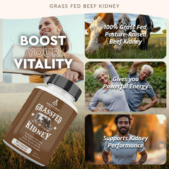 Ancestral Supplements freeze-dried beef kidney close-up showing whole-food nutrition