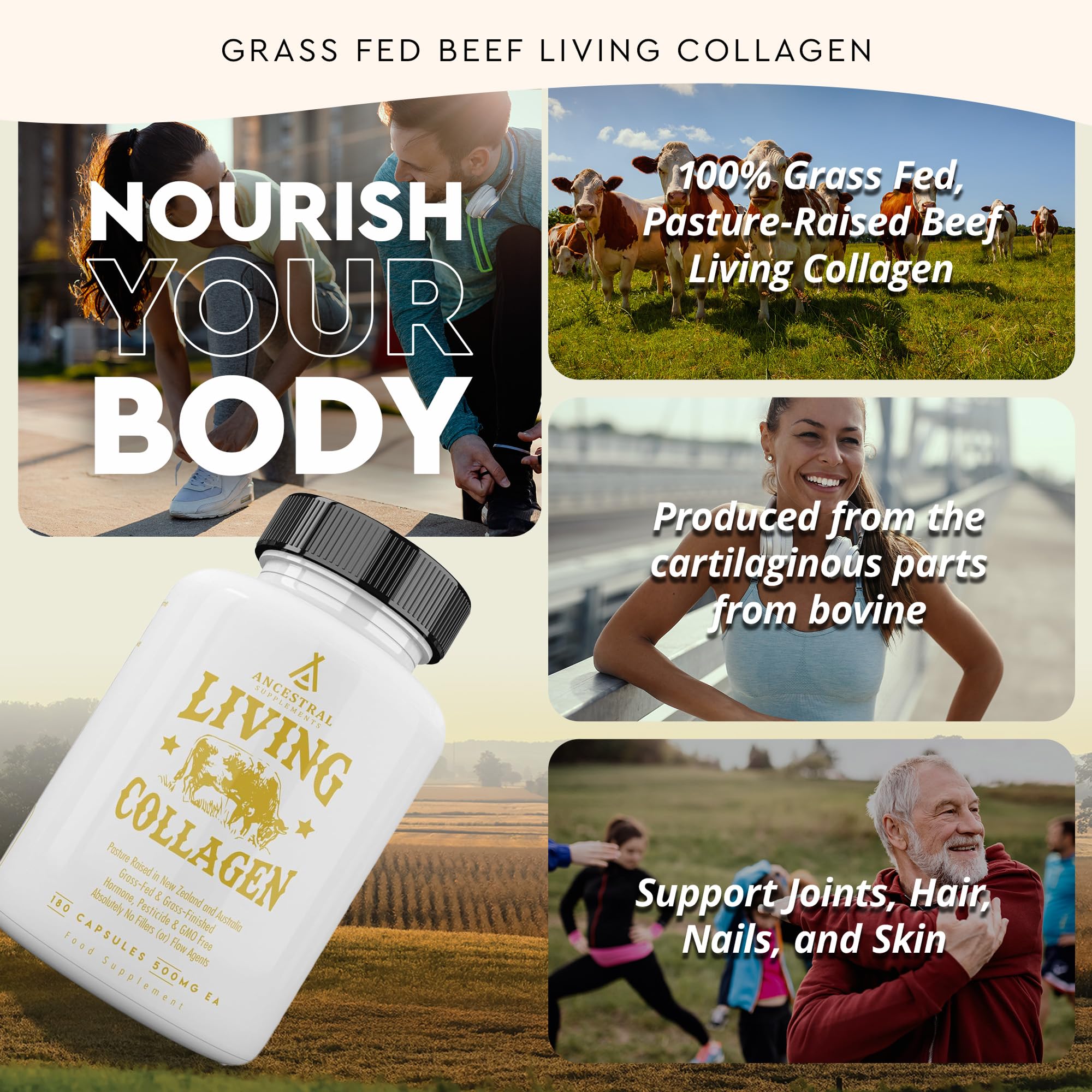 Ancestral Supplements grass-fed beef cartilage origin label highlights natural source.