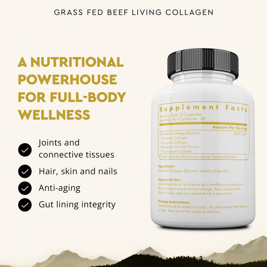 Ancestral Supplements living collagen capsules closeup for easy daily consumption.