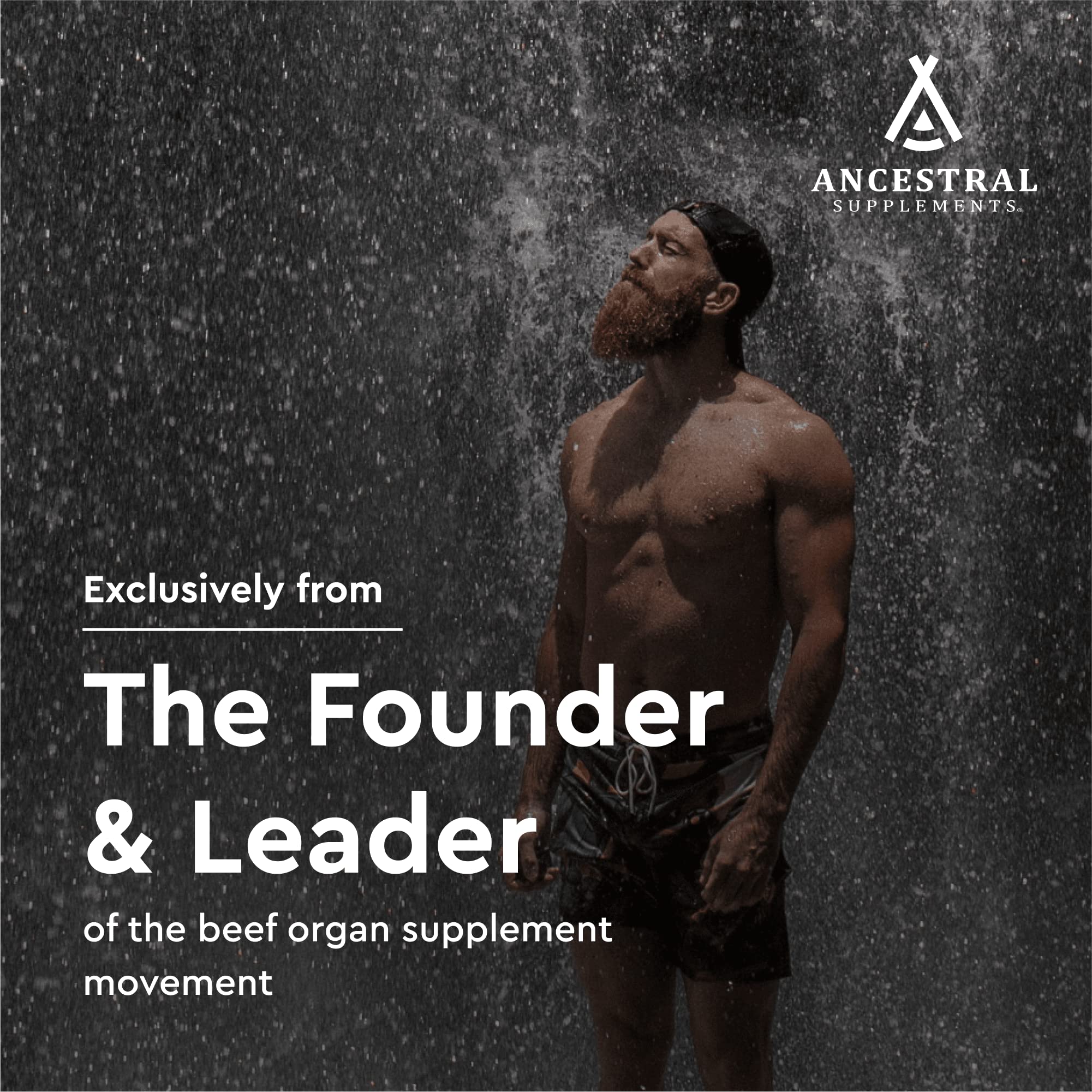 Ancestral Supplements Minerals & Electrolytes ingredients close-up note wild-harvested sources.