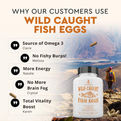 Ancestral Supplements Wild Caught Fish Eggs freeze-dried process preserves nutrients and potency