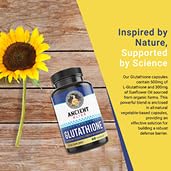 Ancient Bliss plant-based formula label showing clean vegan-friendly ingredients.