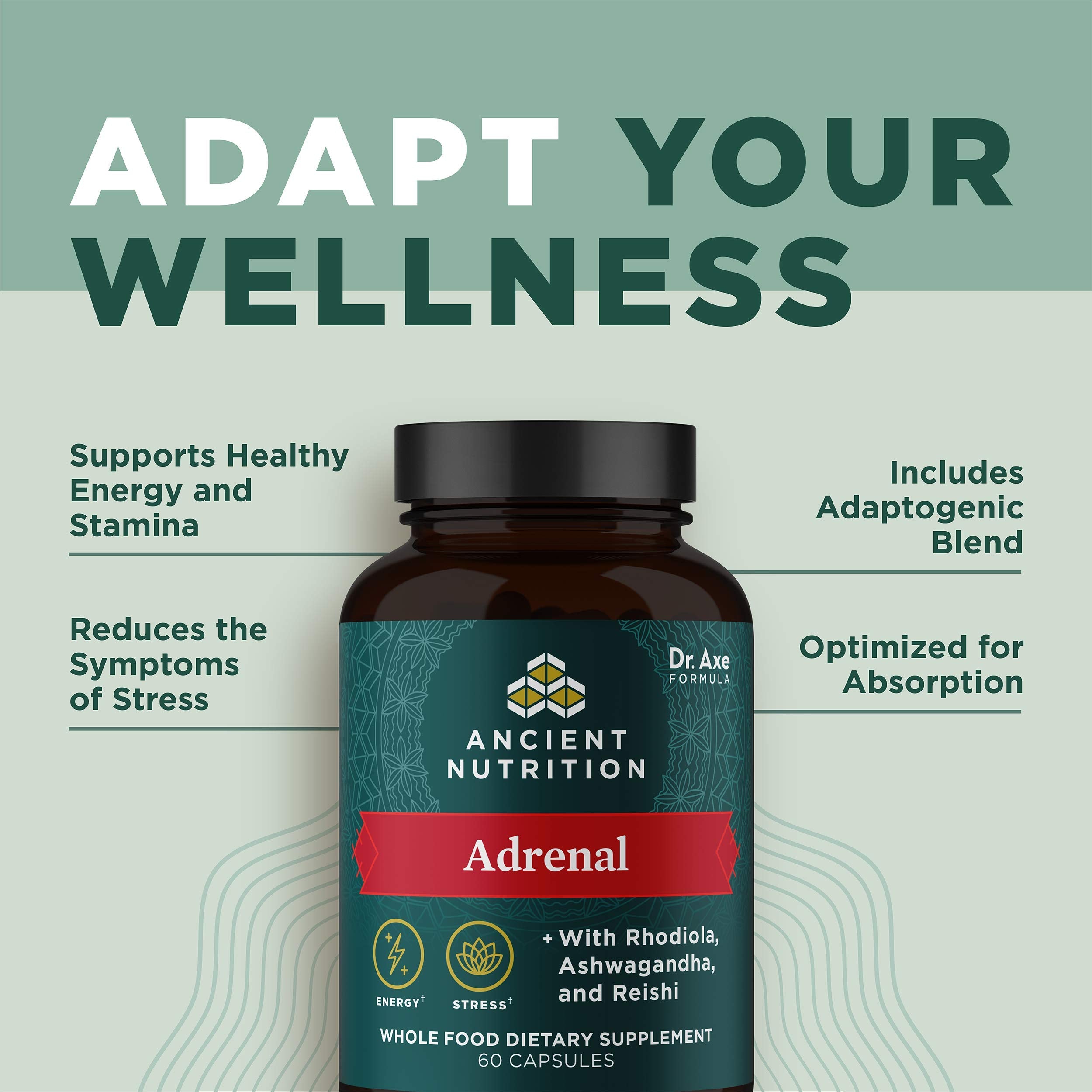 Ancient Nutrition Adrenal Support capsules in hand, suggesting convenient daily use.