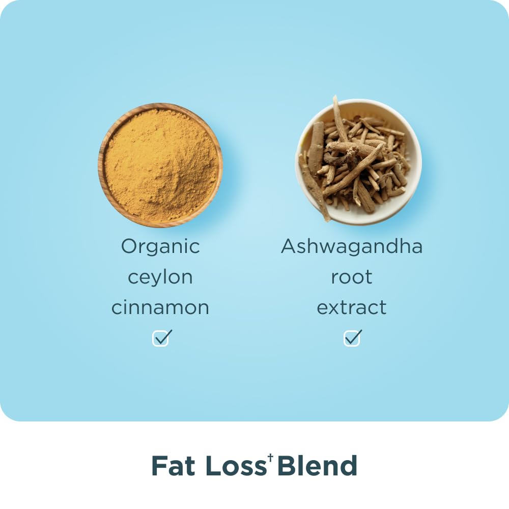 Ancient Nutrition ashwagandha and cinnamon ingredients suggest flavor and wellness potential.
