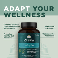 Ancient Nutrition Astragalus root – traditional herb complementing gut function.