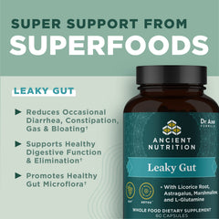 Ancient Nutrition Bacillus coagulans capsules – probiotic support for gut balance.