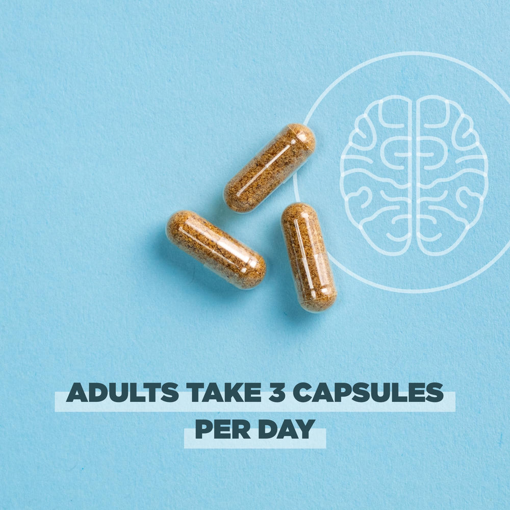 Ancient Nutrition bottle with ingredients panel shows 90 count capsules
