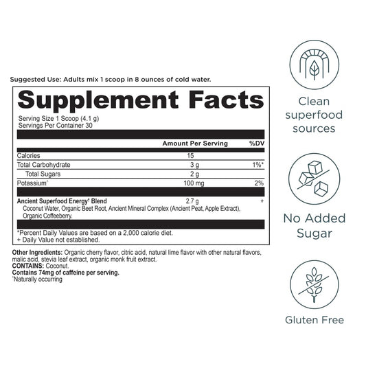 Ancient Nutrition Clean Energy Powder daily-use scoop for steady energy