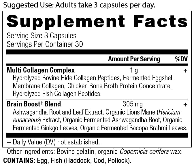 Ancient Nutrition Collagen Brain Boost capsules pack shown for joint comfort and mobility.