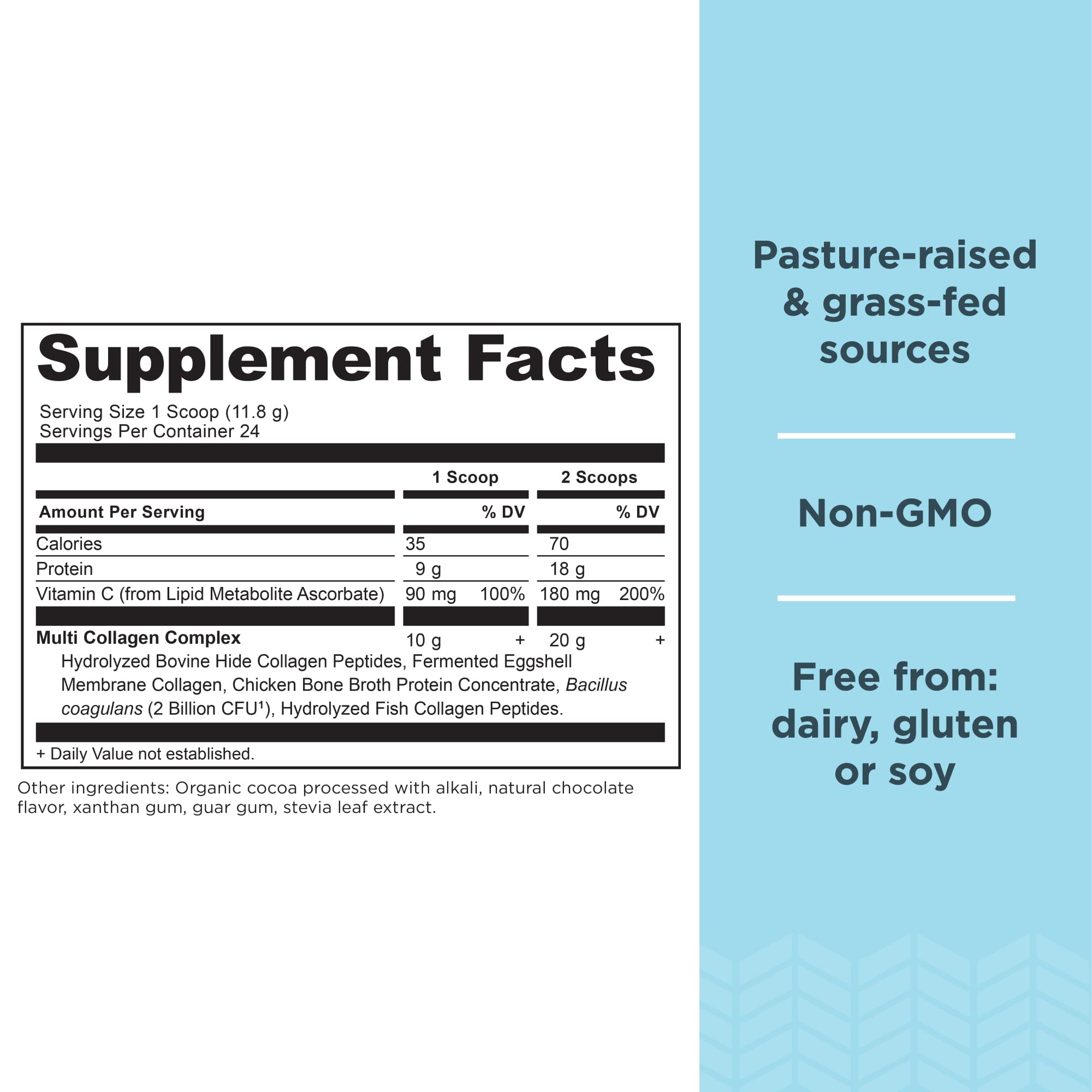 Ancient Nutrition powder scoop dispenses precise servings for easy daily collagen intake.