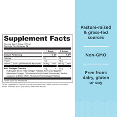 Ancient Nutrition powder scoop dispenses precise servings for easy daily collagen intake.