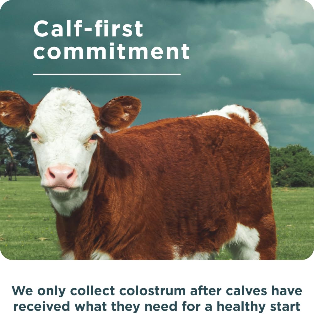 Ancient Nutrition Colostrum mixed into a glass with lemon zest for flavor versatility