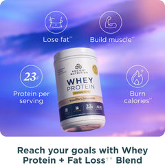 Ancient Nutrition Fat-Loss Blend Cinnamon Ashwagandha scoop highlighting metabolism-boosting potential