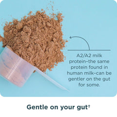 Ancient Nutrition ingredients close-up showing grass-fed whey and collagen