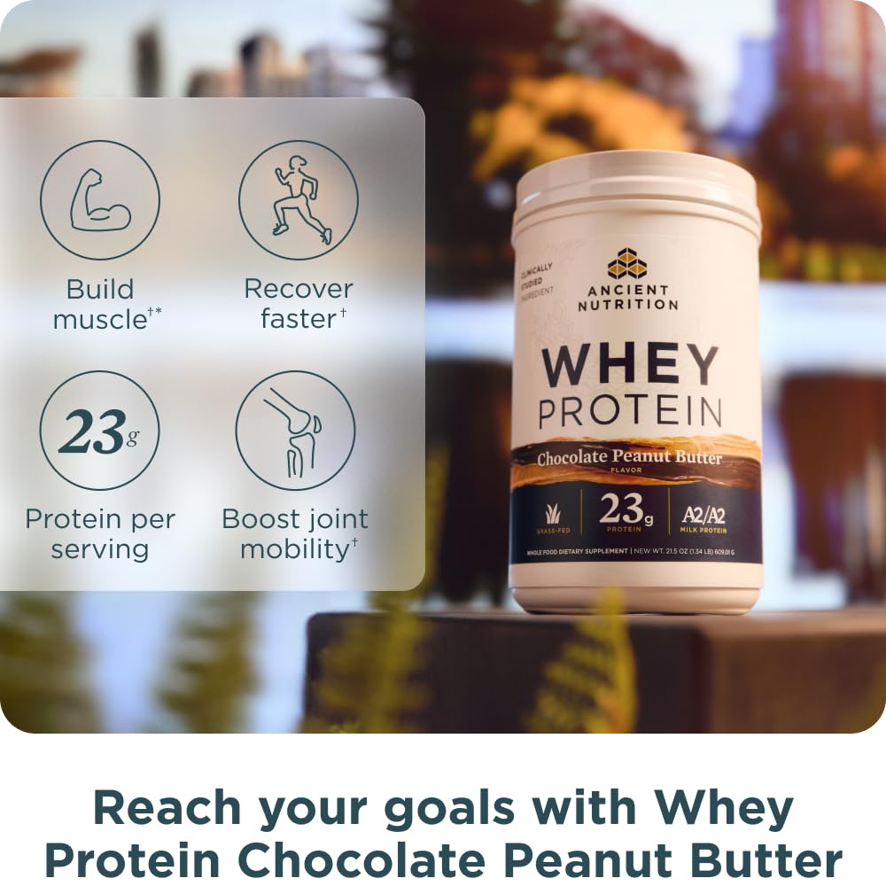 Ancient Nutrition shake in a shaker for a smooth post-workout option