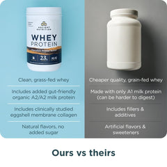 Ancient Nutrition prepared shake in serving glass with chocolate peanut butter