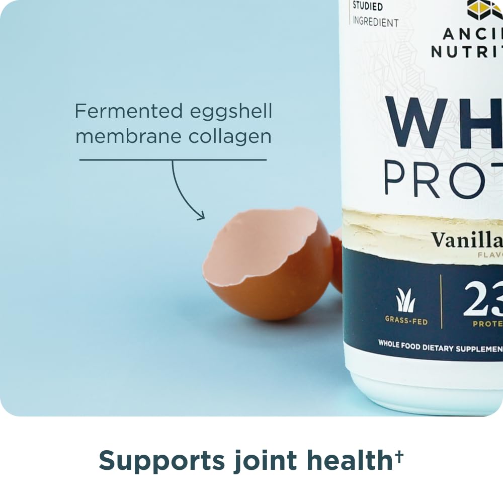 Ancient Nutrition grass-fed whey vanilla bean mixed-glass beverage with creamy texture