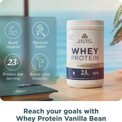 Ancient Nutrition grass-fed whey vanilla bean shaker ready for post-workout recovery