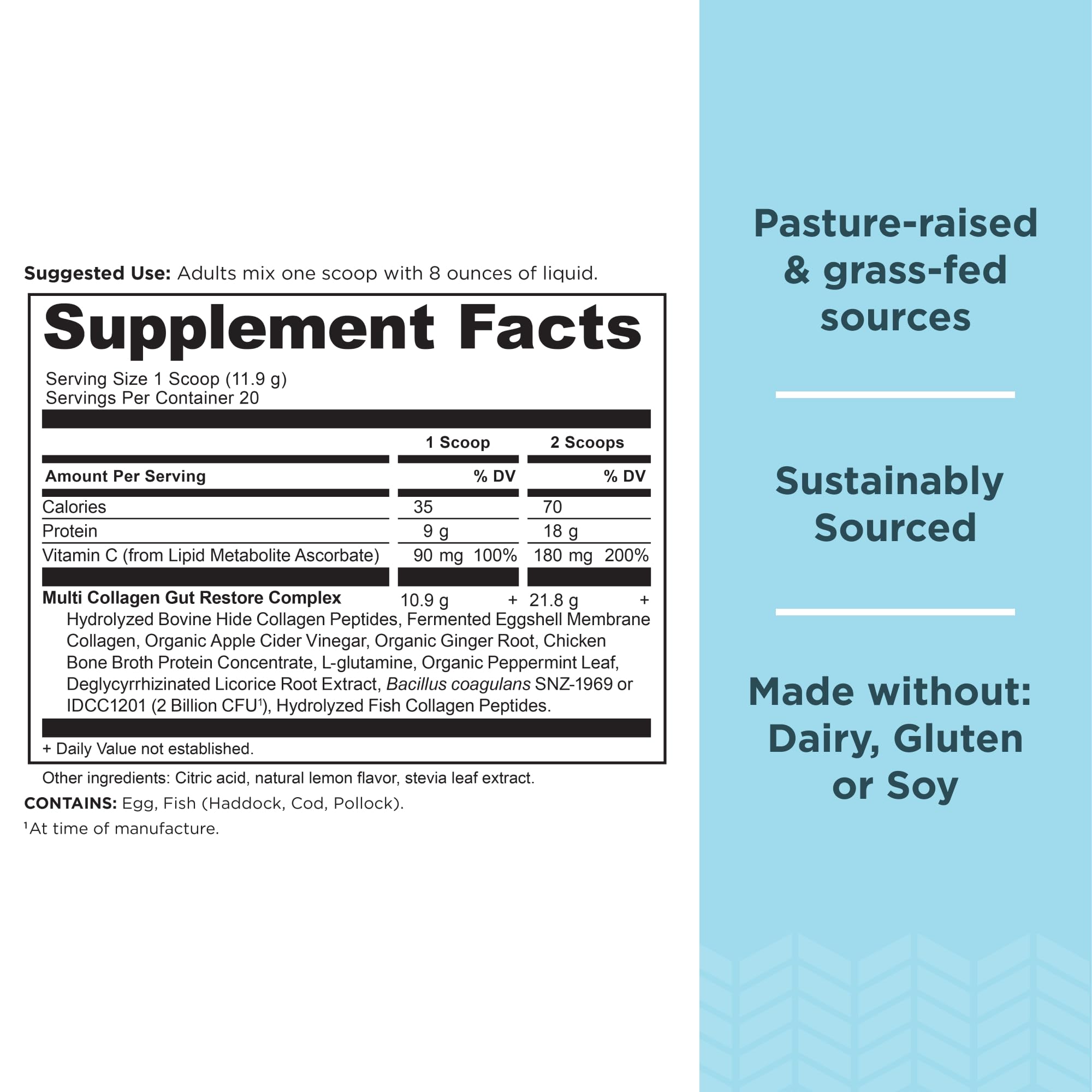 Ancient Nutrition gut restore scoop in glass highlighting protein boost.