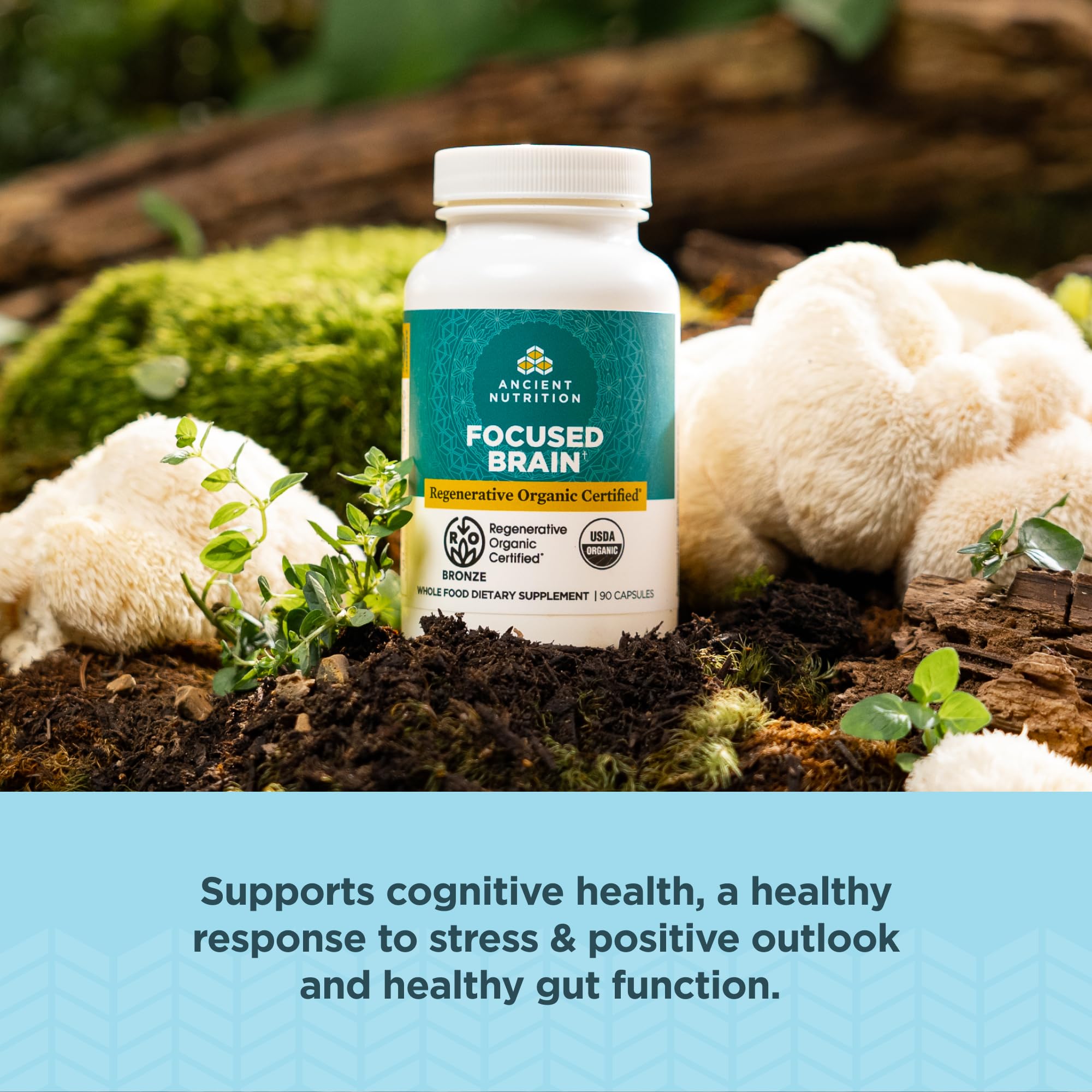 Ancient Nutrition Lions Mane capsule texture and clear branding for cognitive support
