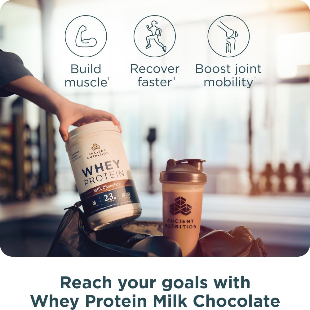 Milk chocolate flavor tub from Ancient Nutrition offers a tasty protein option.