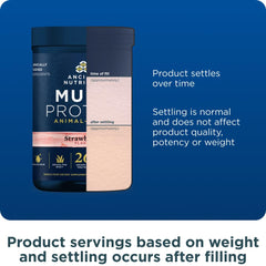 Ancient Nutrition multi protein powder serving scoop of strawberry flavor