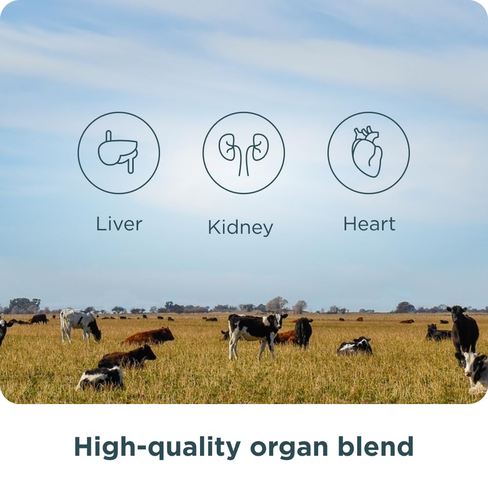 Ancient Nutrition Organ Complex packaging conveying heritage and trusted organ wellness.