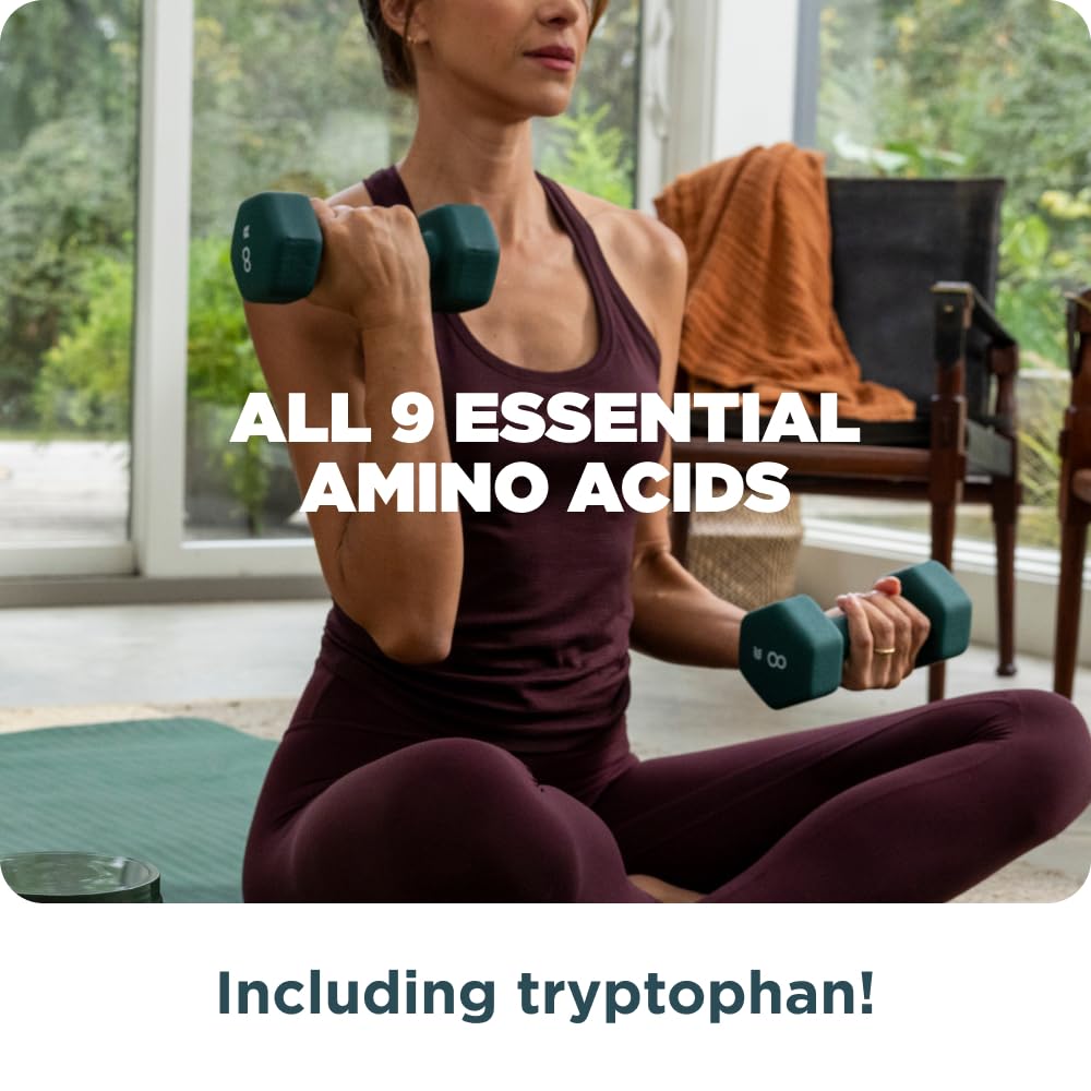 Ancient Nutrition Multi Protein label featuring probiotics and digestive enzymes.