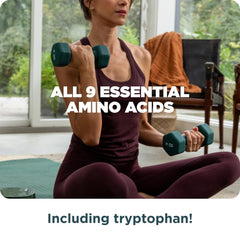 Ancient Nutrition Multi Protein label featuring probiotics and digestive enzymes.