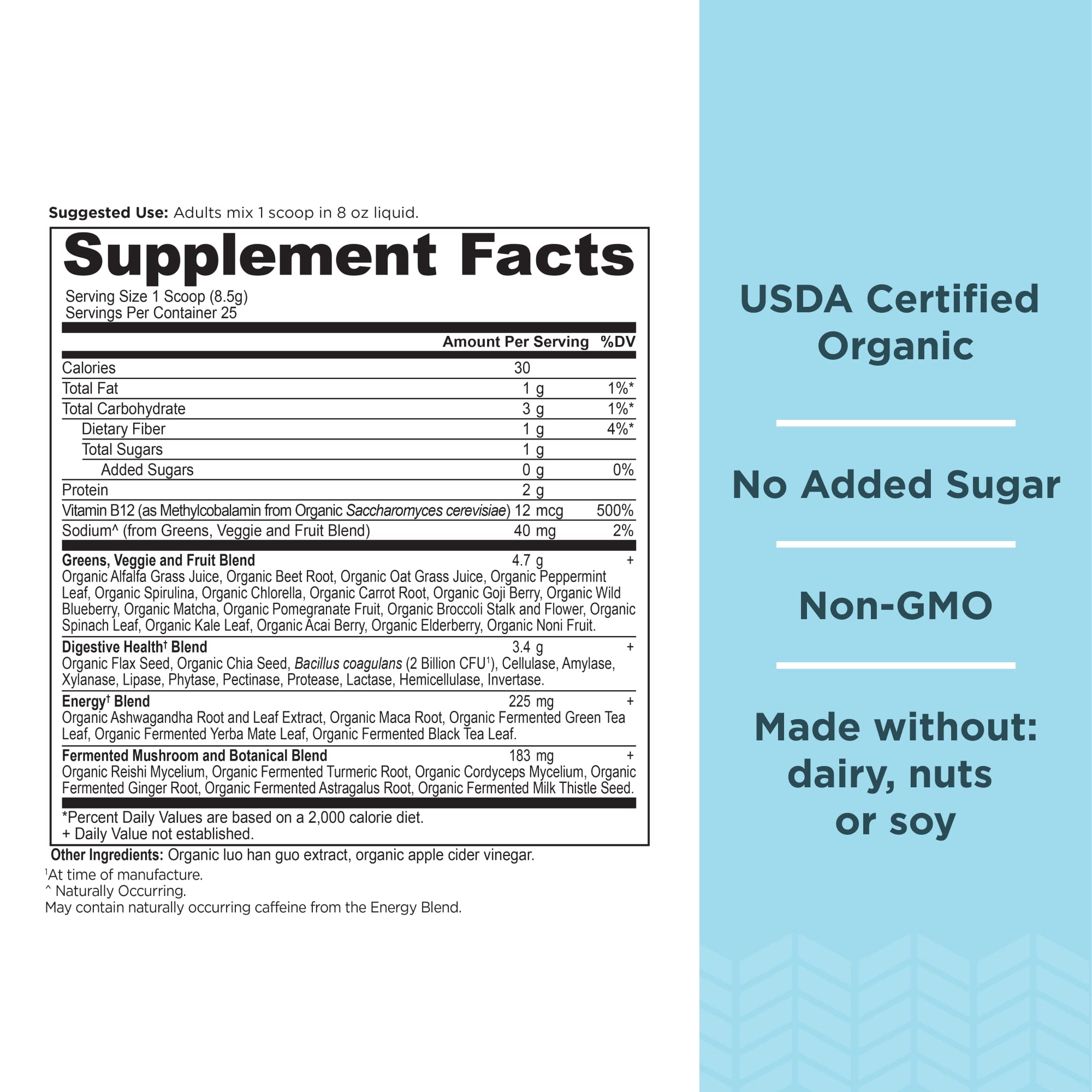 Ancient Nutrition Organic SuperGreens Energizer probiotic bottle closeup for gut-friendly support