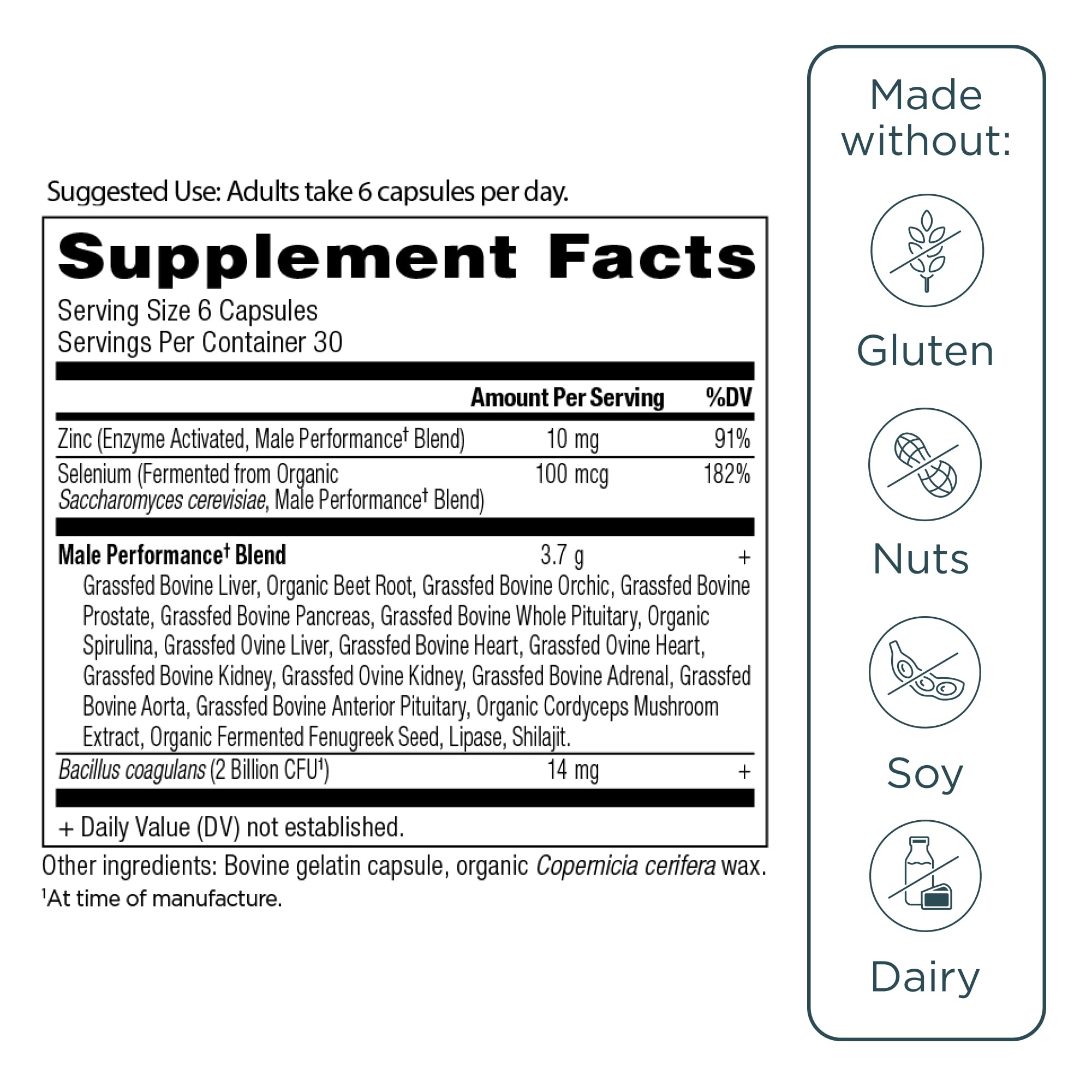 Ancient Nutrition Organs capsules close-up, easy-to-take daily supplement.