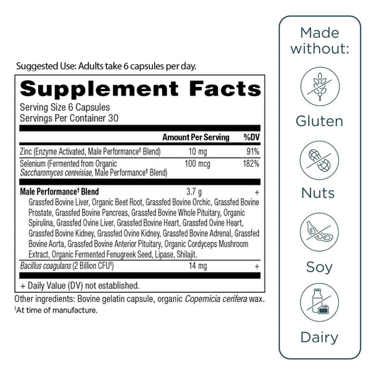Ancient Nutrition Organs capsules close-up, easy-to-take daily supplement.