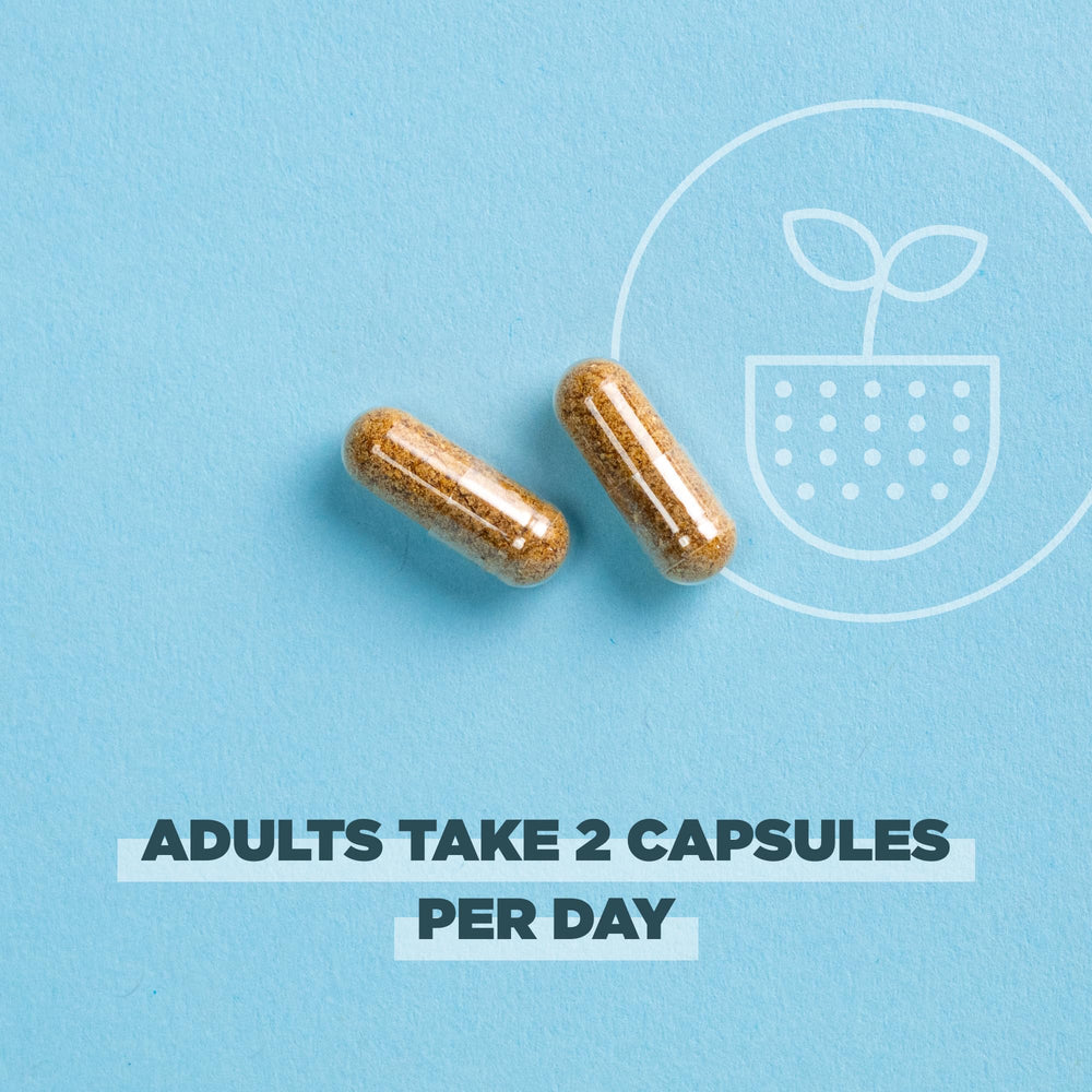 Ancient Nutrition probiotics bottle on kitchen counter, ready for your daily routine.