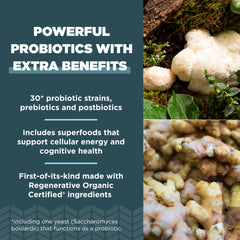 Ancient Nutrition probiotics capsules in hand, convenient daily capsule format.