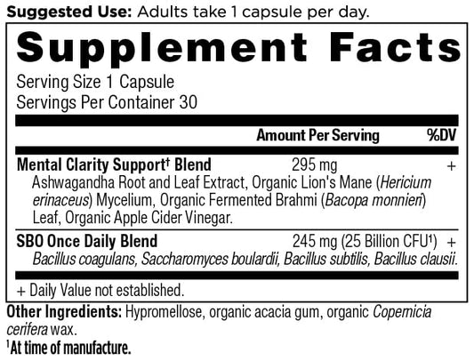 Closeup of Ancient Nutrition Probiotics capsules for mental clarity