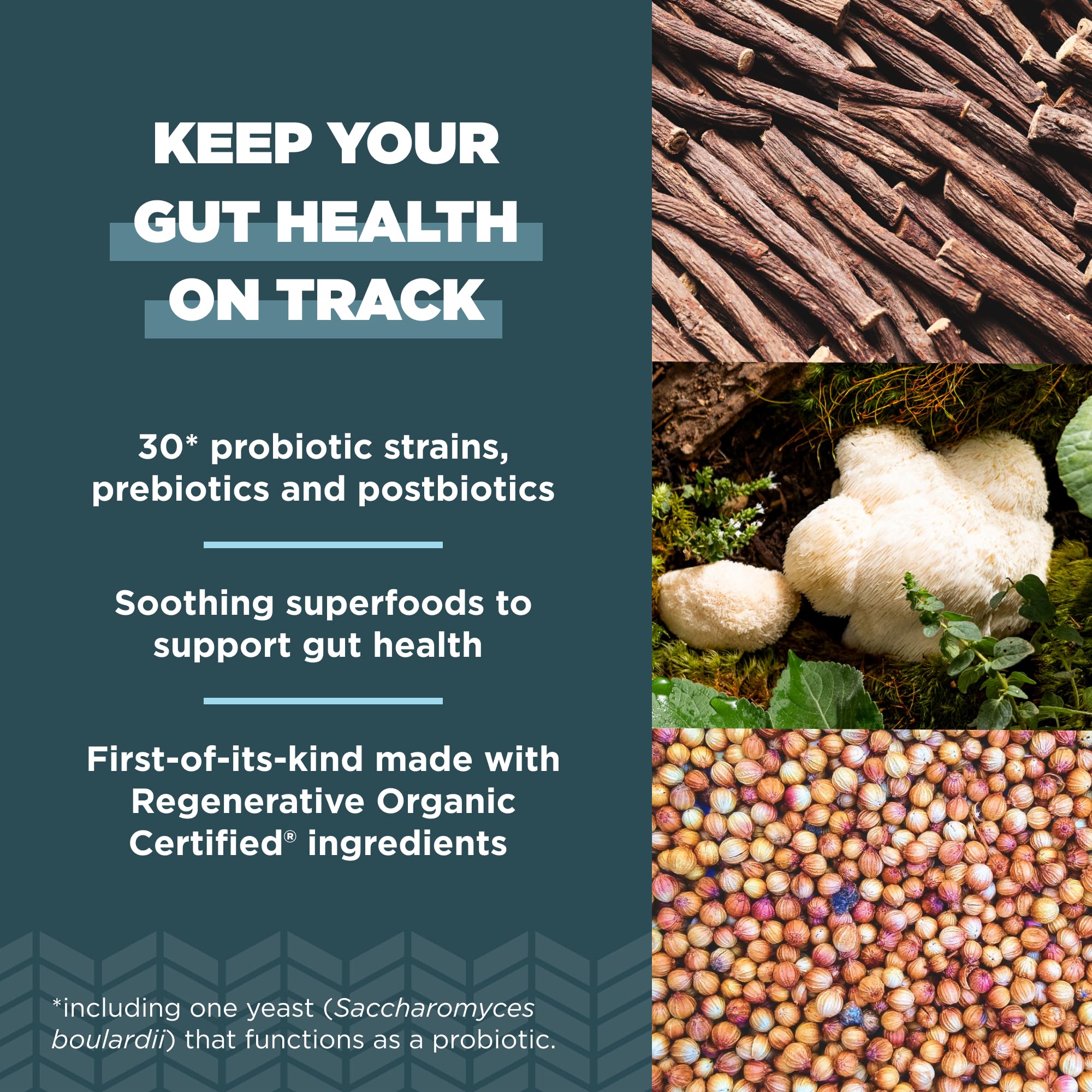 Ancient Nutrition Regenerative Organic Probiotics capsules close-up for daily use.