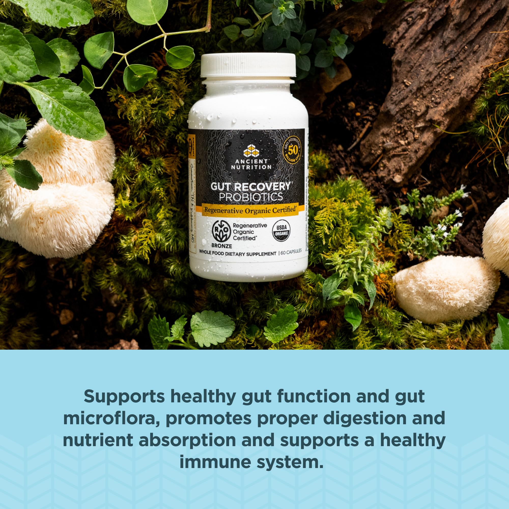 Ancient Nutrition Regenerative Organic Probiotics label detail with 30 strains.