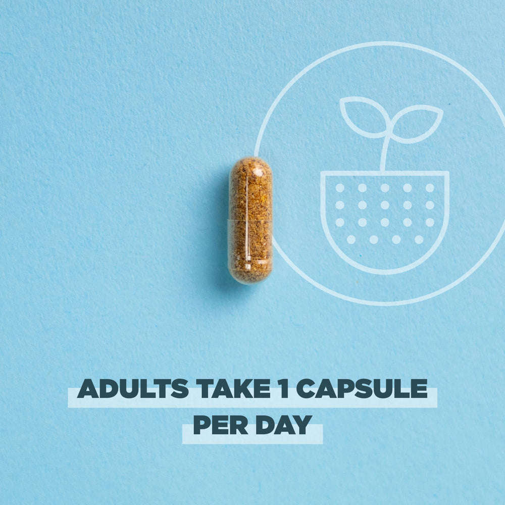 Eco-friendly packaging of Ancient Nutrition probiotics for sustainability.