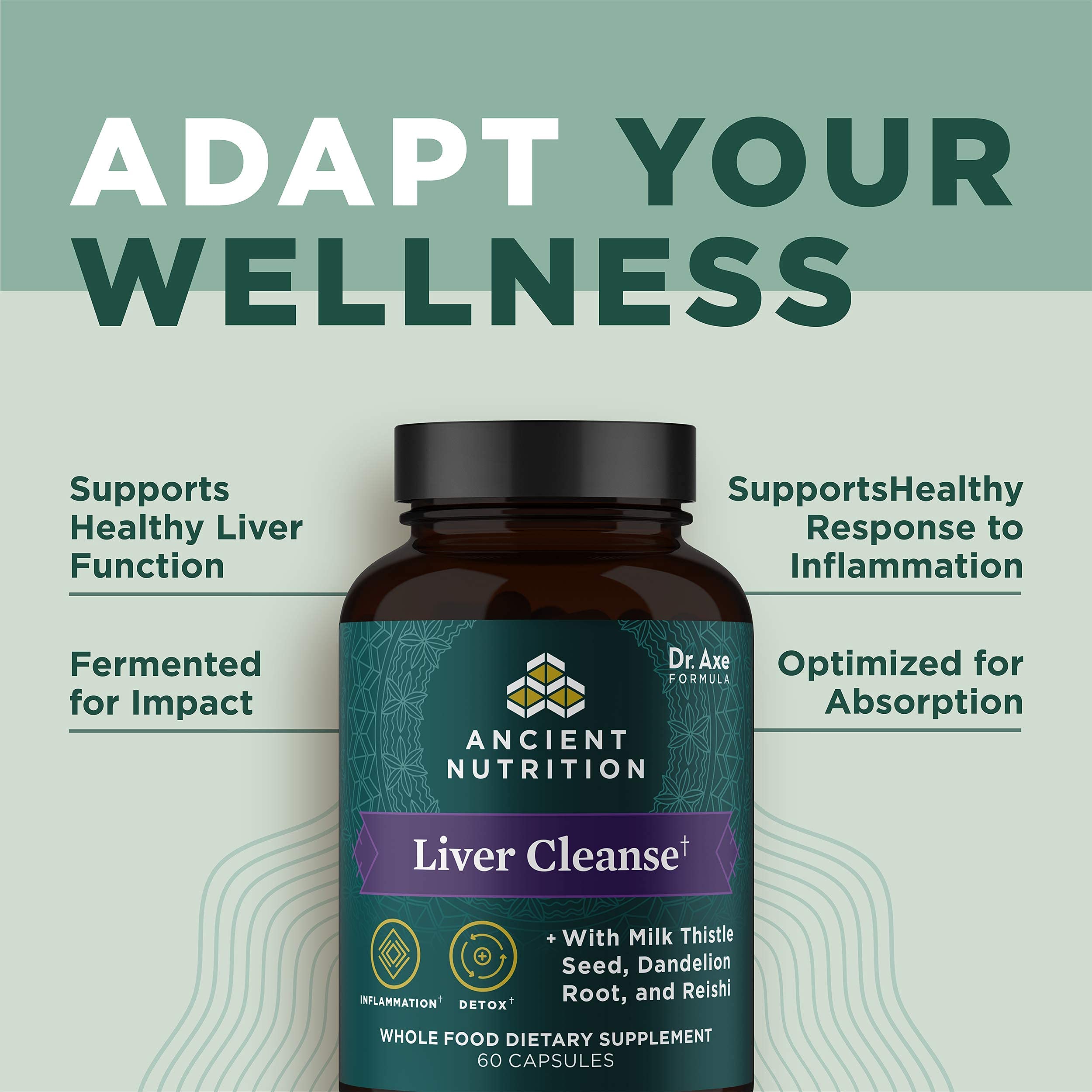 Ancient Nutrition reishi mushroom emphasizing adaptogenic wellness support.